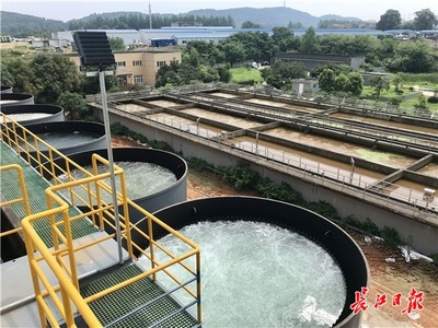 九峰明渠臨時污水處理設施高效運行，顯著削減入東湖污水量